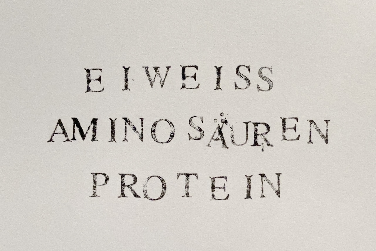Eiweiß Protein Aminosäuren